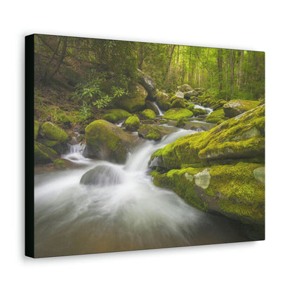 Canvas Gallery Wraps - Roaring Fork River waterfalls - the top of the world here - in Smoky Mountain National Park in Summer in Mountain National Park (SMNP) USA - Green Forest Home