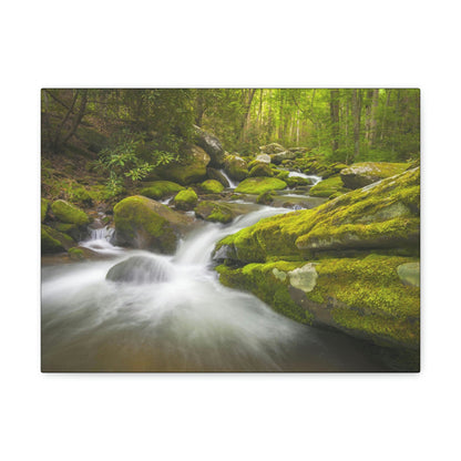 Canvas Gallery Wraps - Roaring Fork River waterfalls - the top of the world here - in Smoky Mountain National Park in Summer in Mountain National Park (SMNP) USA - Green Forest Home