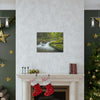 Canvas Gallery Wraps - Roaring Fork River waterfalls - the top of the world here - in Smoky Mountain National Park in Summer in Mountain National Park (SMNP) USA - Green Forest Home