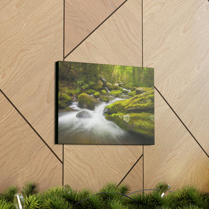 Canvas Gallery Wraps - Roaring Fork River waterfalls - the top of the world here - in Smoky Mountain National Park in Summer in Mountain National Park (SMNP) USA - Green Forest Home