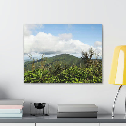 Canvas Gallery Wraps Series - Views of El Yunque rain forest Puerto Rico - Green Forest Home