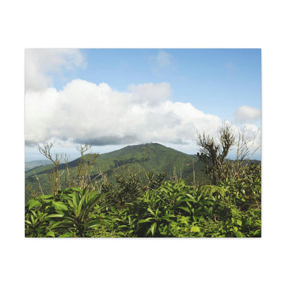 Canvas Gallery Wraps Series - Views of El Yunque rain forest Puerto Rico - Green Forest Home