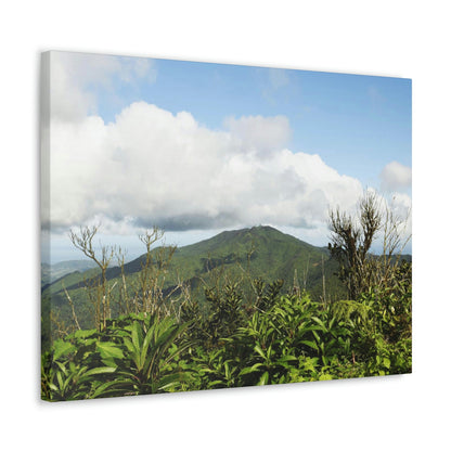 Canvas Gallery Wraps Series - Views of El Yunque rain forest Puerto Rico - Green Forest Home