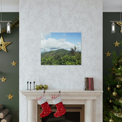 Canvas Gallery Wraps Series - Views of El Yunque rain forest Puerto Rico - Green Forest Home