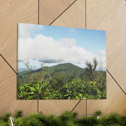 Canvas Gallery Wraps Series - Views of El Yunque rain forest Puerto Rico - Green Forest Home