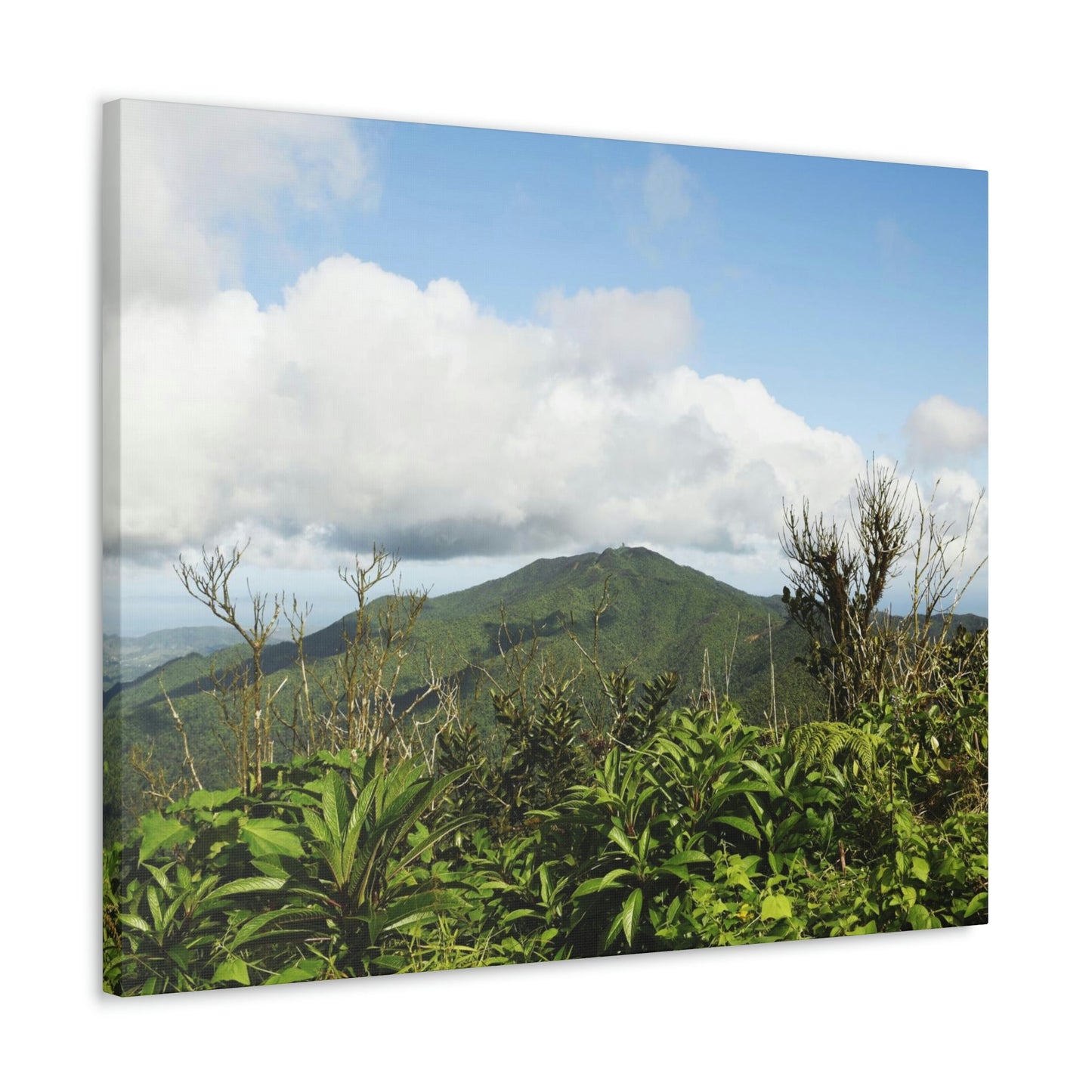 Canvas Gallery Wraps Series - Views of El Yunque rain forest Puerto Rico - Green Forest Home