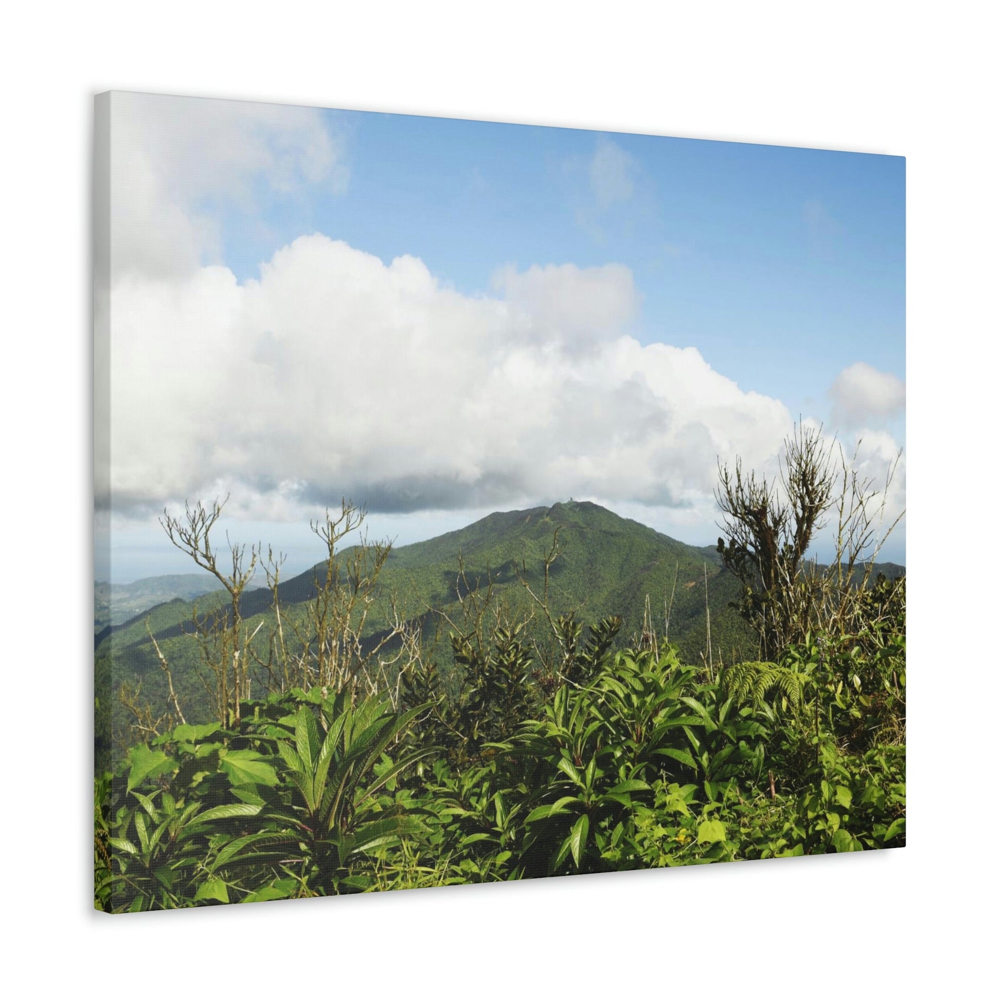 Canvas Gallery Wraps Series - Views of El Yunque rain forest Puerto Rico - Green Forest Home