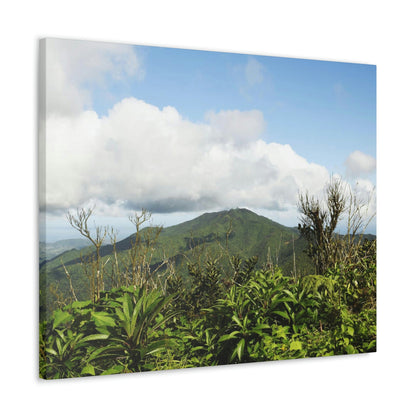 Canvas Gallery Wraps Series - Views of El Yunque rain forest Puerto Rico - Green Forest Home