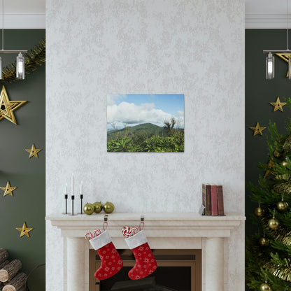 Canvas Gallery Wraps Series - Views of El Yunque rain forest Puerto Rico - Green Forest Home