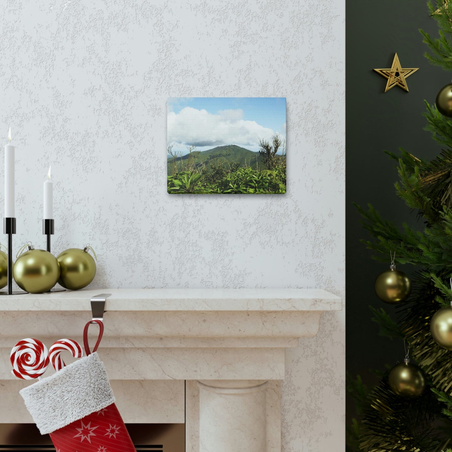 Canvas Gallery Wraps Series - Views of El Yunque rain forest Puerto Rico - Green Forest Home