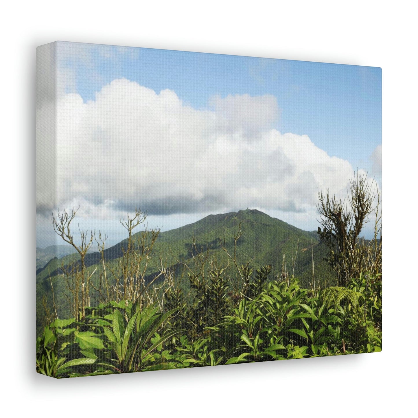 Canvas Gallery Wraps Series - Views of El Yunque rain forest Puerto Rico - Green Forest Home