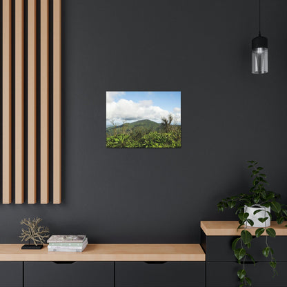 Canvas Gallery Wraps Series - Views of El Yunque rain forest Puerto Rico - Green Forest Home