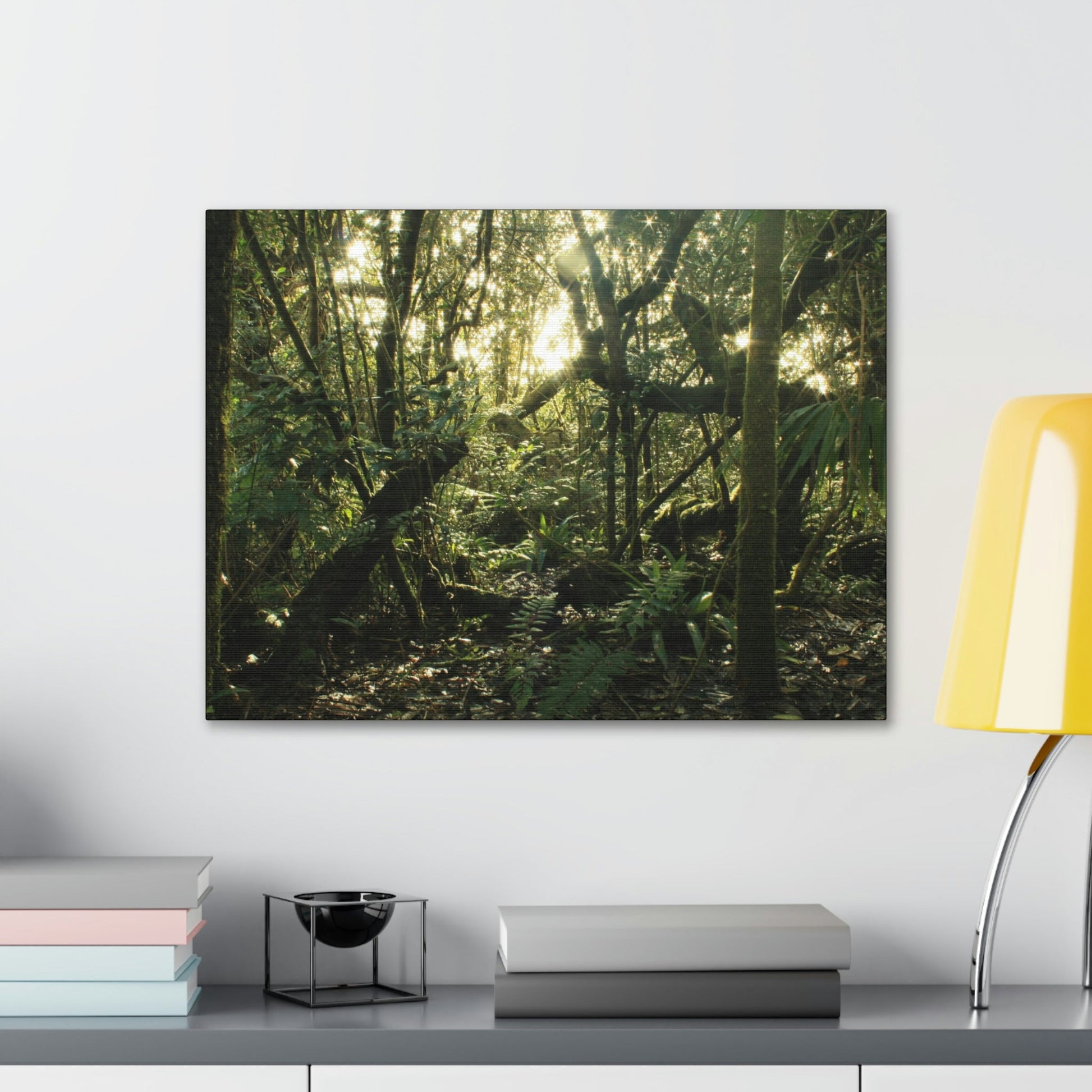 Canvas Gallery Wraps - The Magic Cloud forest at sunset in Tradewinds trail before Maria - 2013 - old pal region - Green Forest Home
