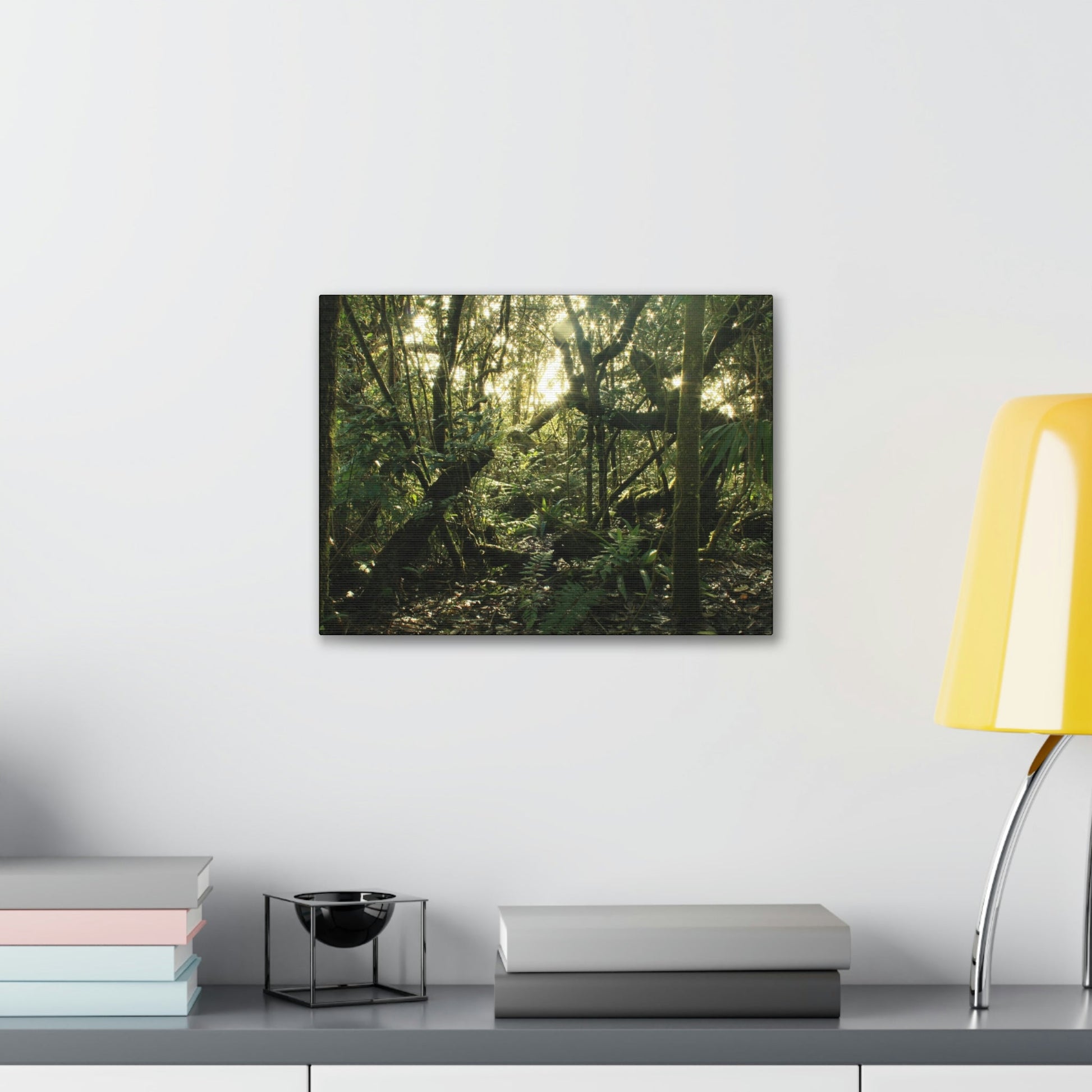 Canvas Gallery Wraps - The Magic Cloud forest at sunset in Tradewinds trail before Maria - 2013 - old pal region - Green Forest Home