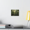 Canvas Gallery Wraps - The Magic Cloud forest at sunset in Tradewinds trail before Maria - 2013 - old pal region - Green Forest Home