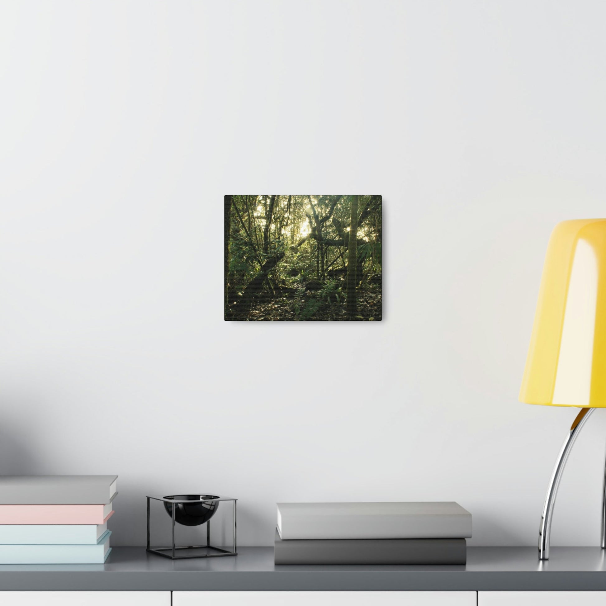 Canvas Gallery Wraps - The Magic Cloud forest at sunset in Tradewinds trail before Maria - 2013 - old pal region - Green Forest Home