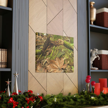 Canvas Gallery Wraps - The Sierra Palm forest - decaying palm - in El Yunque rainforest PR - Green Forest Home