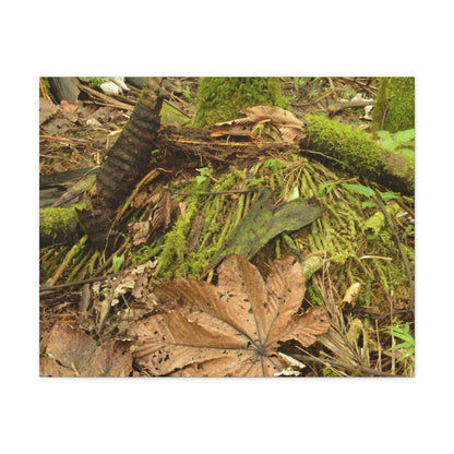 Canvas Gallery Wraps - The Sierra Palm forest - decaying palm - in El Yunque rainforest PR - Green Forest Home