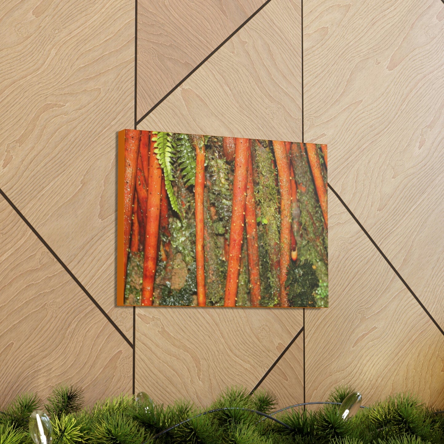 Canvas Gallery Wraps - The strong roots of the Sierra Palm - that can wisthand hurricane force winds! - Green Forest Home