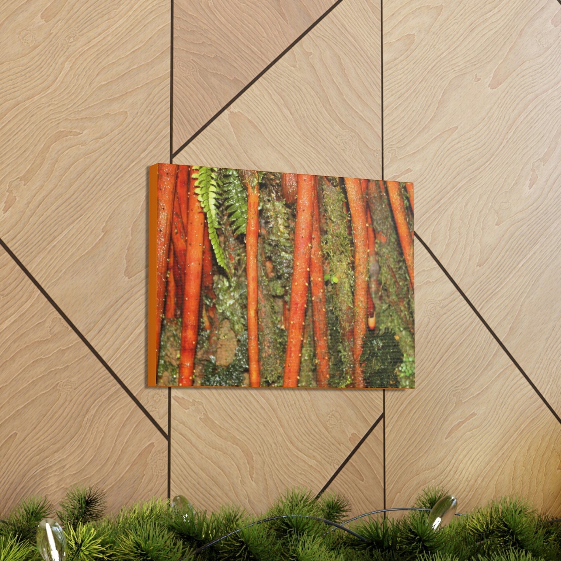 Canvas Gallery Wraps - The strong roots of the Sierra Palm - that can wisthand hurricane force winds! - Green Forest Home