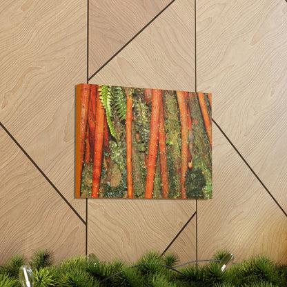 Canvas Gallery Wraps - The strong roots of the Sierra Palm - that can wisthand hurricane force winds! - Green Forest Home