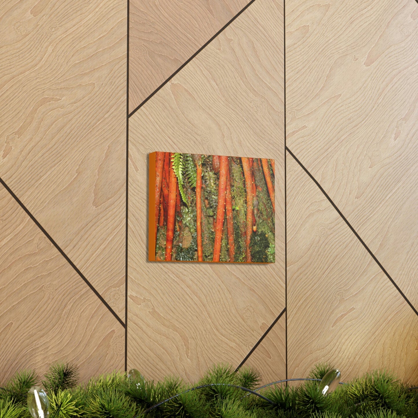 Canvas Gallery Wraps - The strong roots of the Sierra Palm - that can wisthand hurricane force winds! - Green Forest Home