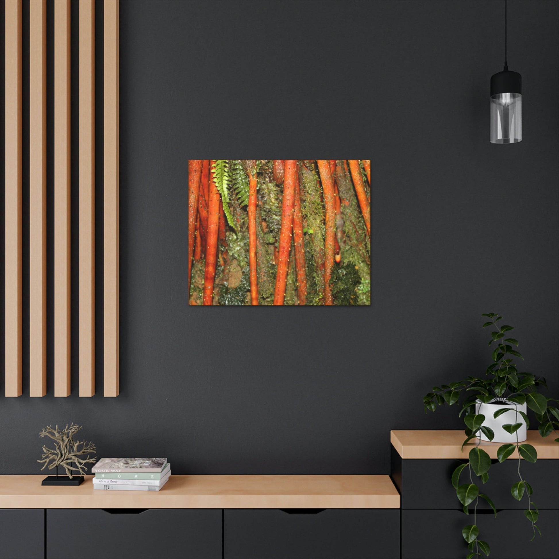 Canvas Gallery Wraps - The strong roots of the Sierra Palm - that can wisthand hurricane force winds! - Green Forest Home