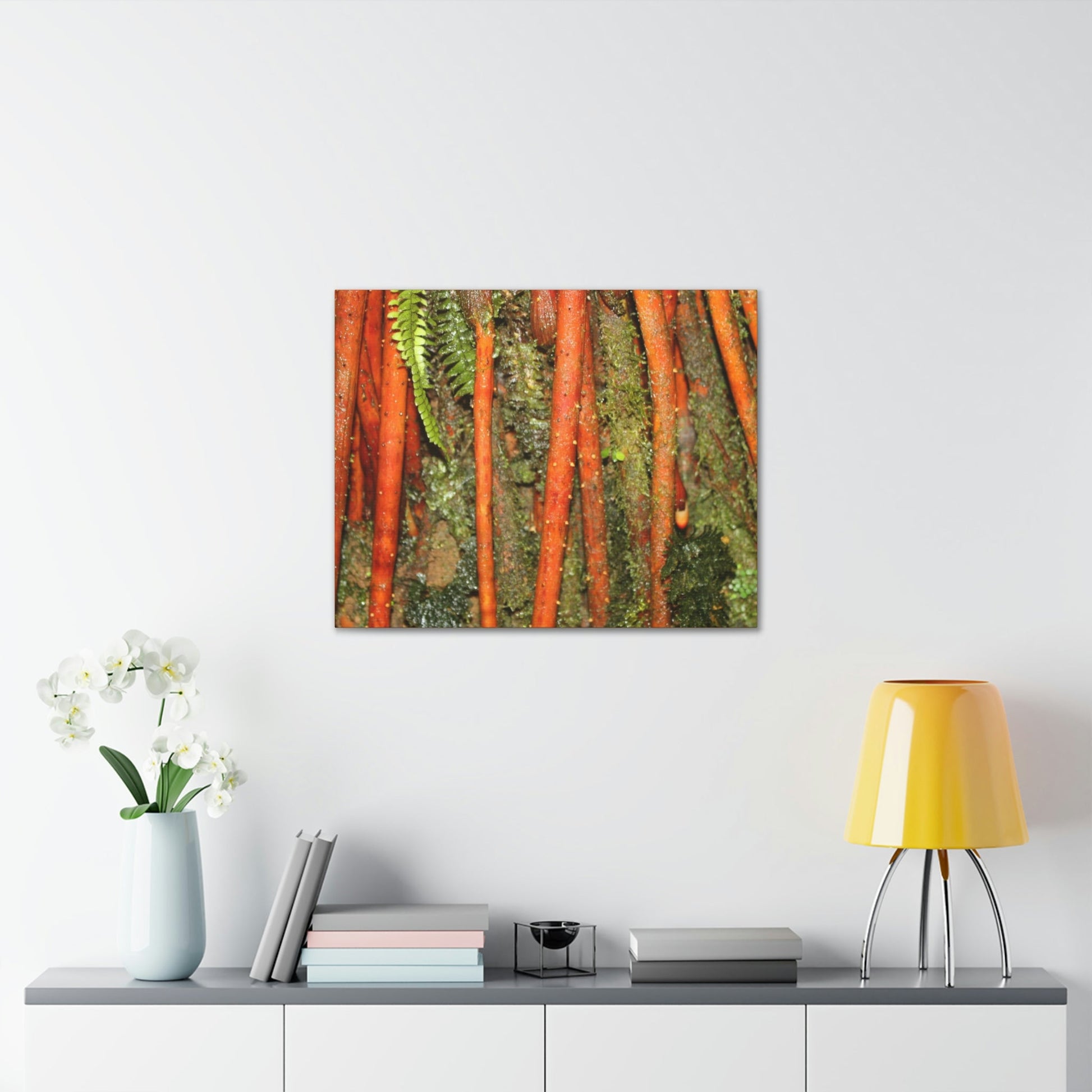 Canvas Gallery Wraps - The strong roots of the Sierra Palm - that can wisthand hurricane force winds! - Green Forest Home