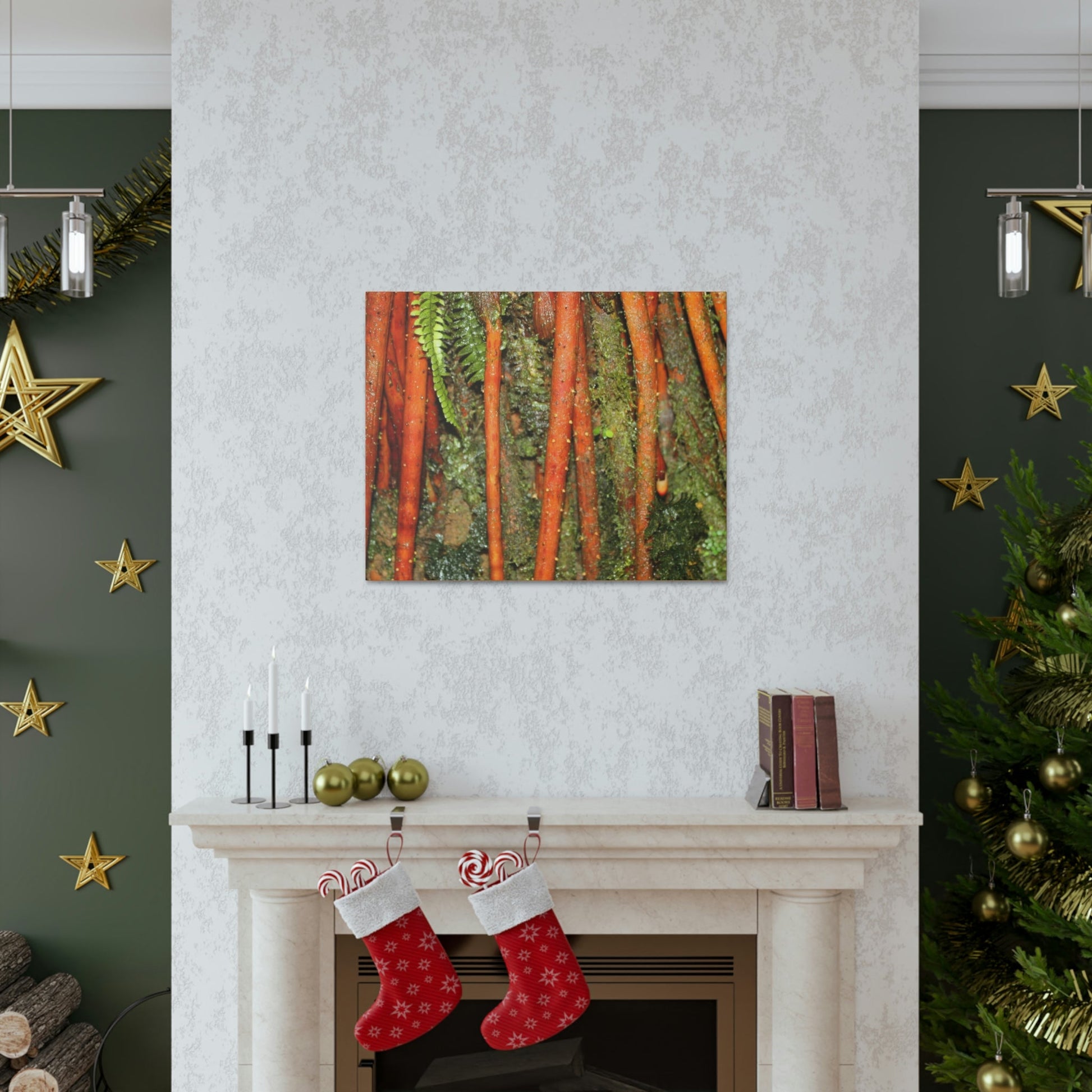 Canvas Gallery Wraps - The strong roots of the Sierra Palm - that can wisthand hurricane force winds! - Green Forest Home
