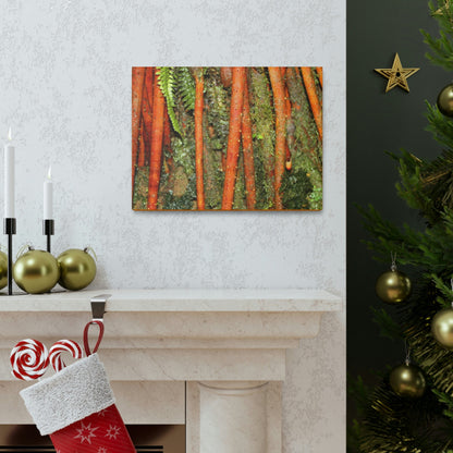 Canvas Gallery Wraps - The strong roots of the Sierra Palm - that can wisthand hurricane force winds! - Green Forest Home