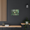 Canvas Gallery Wraps - The Tradewinds trail before Hurricane Maria - 2013 - old pal region - Green Forest Home