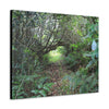 Canvas Gallery Wraps - The Tradewinds trail before Hurricane Maria - 2013 - old pal region - Green Forest Home