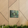 Canvas Gallery Wraps - The Tradewinds trail before Hurricane Maria - 2013 - old pal region - Green Forest Home
