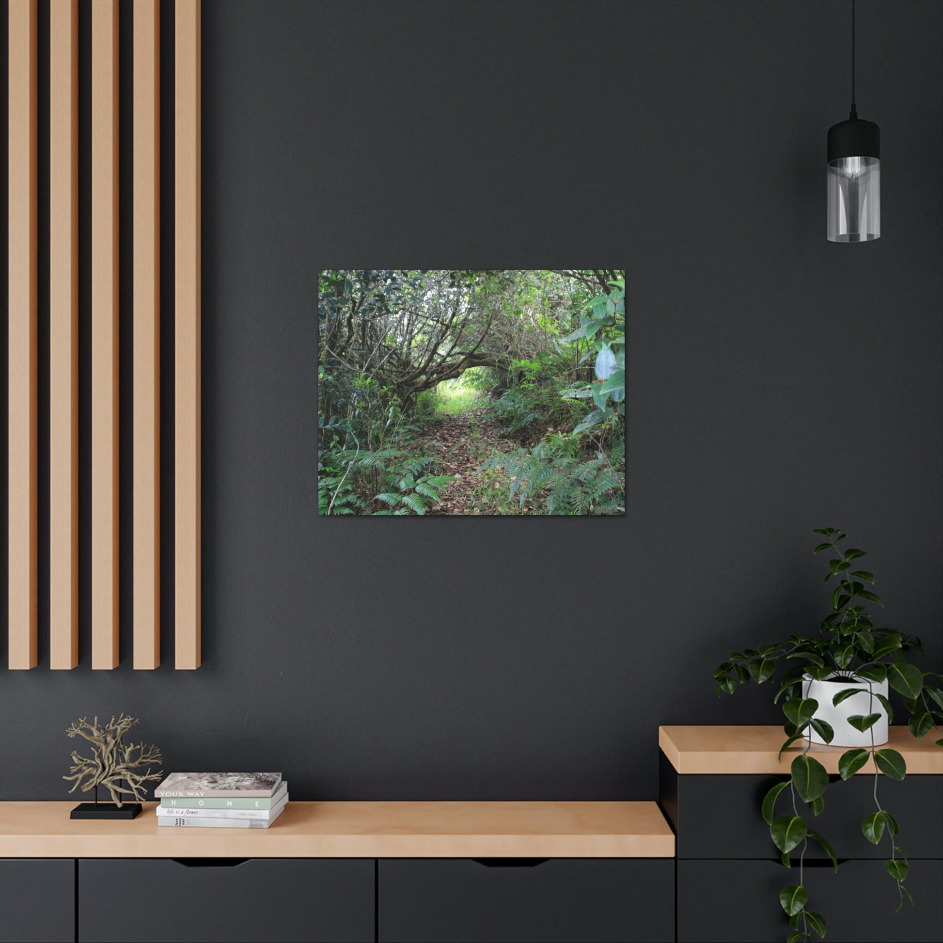 Canvas Gallery Wraps - The Tradewinds trail before Hurricane Maria - 2013 - old pal region - Green Forest Home