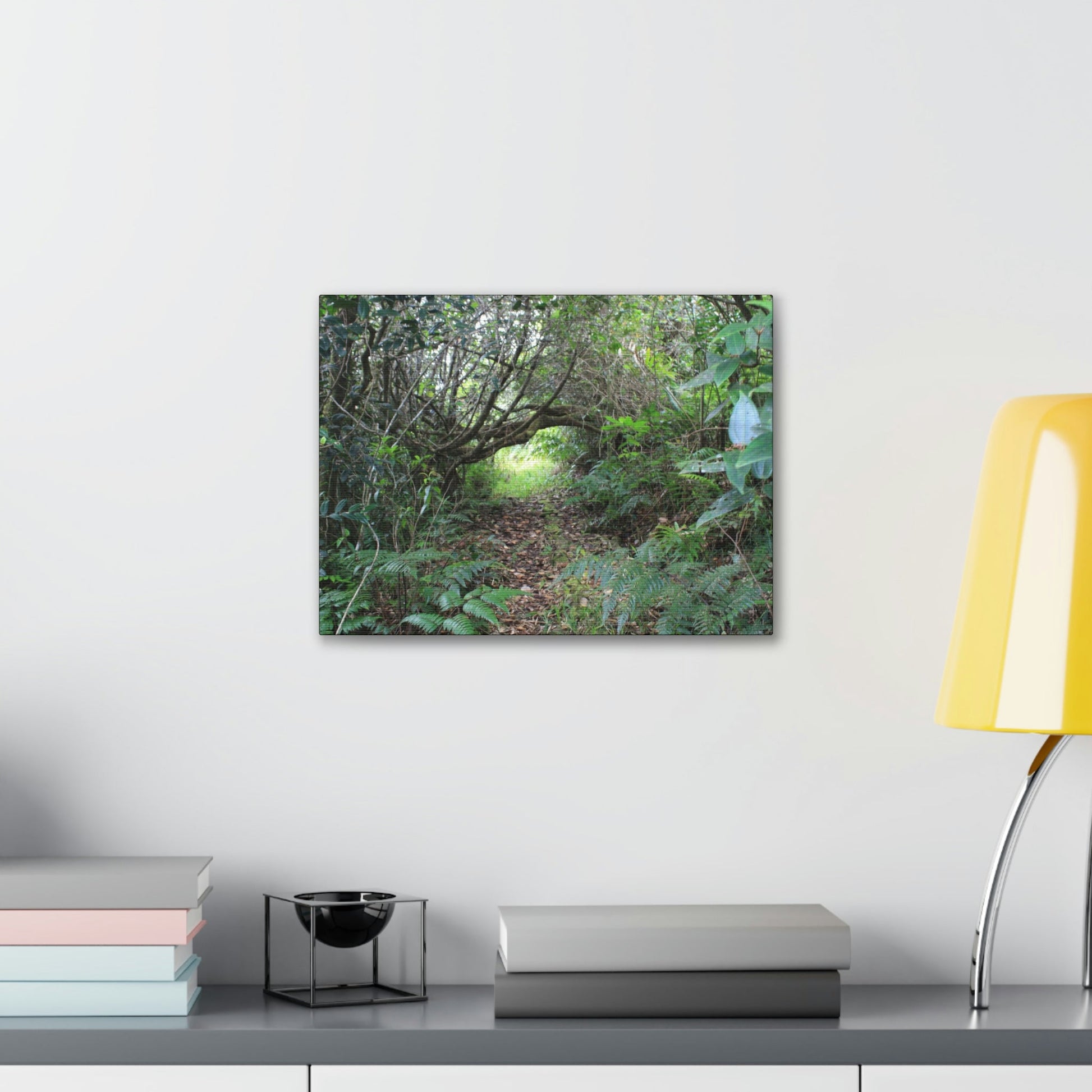 Canvas Gallery Wraps - The Tradewinds trail before Hurricane Maria - 2013 - old pal region - Green Forest Home