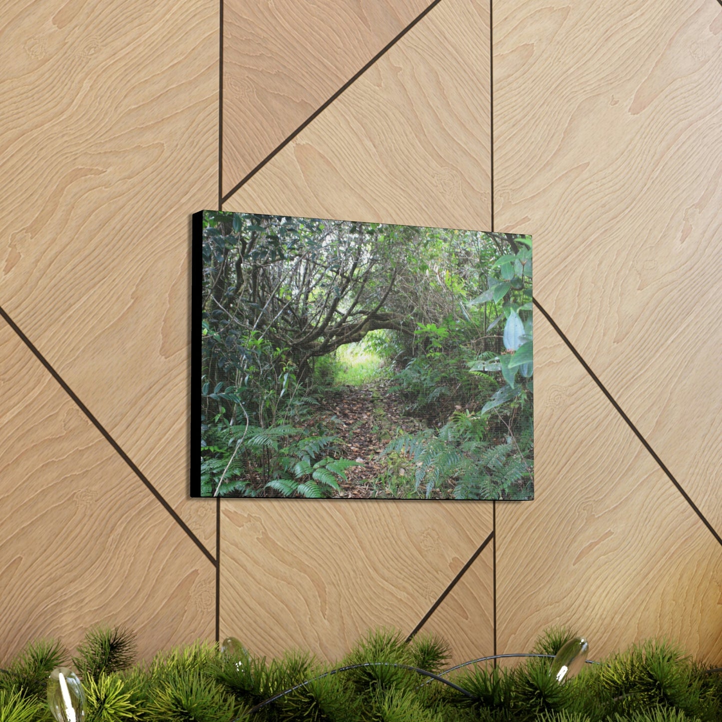 Canvas Gallery Wraps - The Tradewinds trail before Hurricane Maria - 2013 - old pal region - Green Forest Home