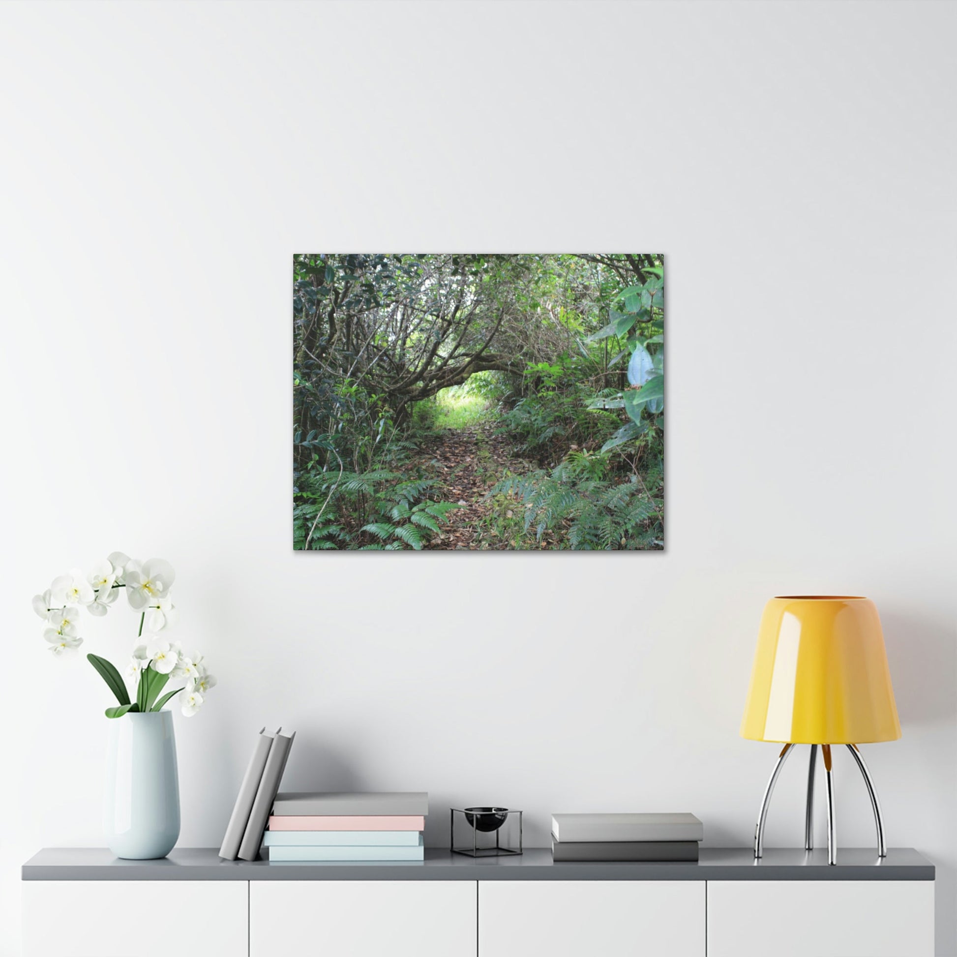 Canvas Gallery Wraps - The Tradewinds trail before Hurricane Maria - 2013 - old pal region - Green Forest Home