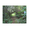 Canvas Gallery Wraps - The Tradewinds trail before Hurricane Maria - 2013 - old pal region - Green Forest Home