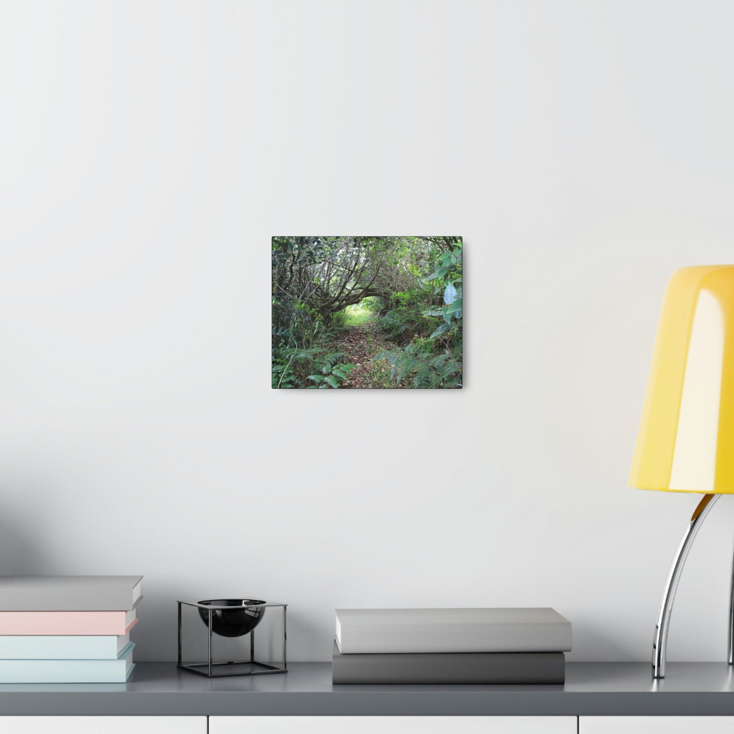 Canvas Gallery Wraps - The Tradewinds trail before Hurricane Maria - 2013 - old pal region - Green Forest Home