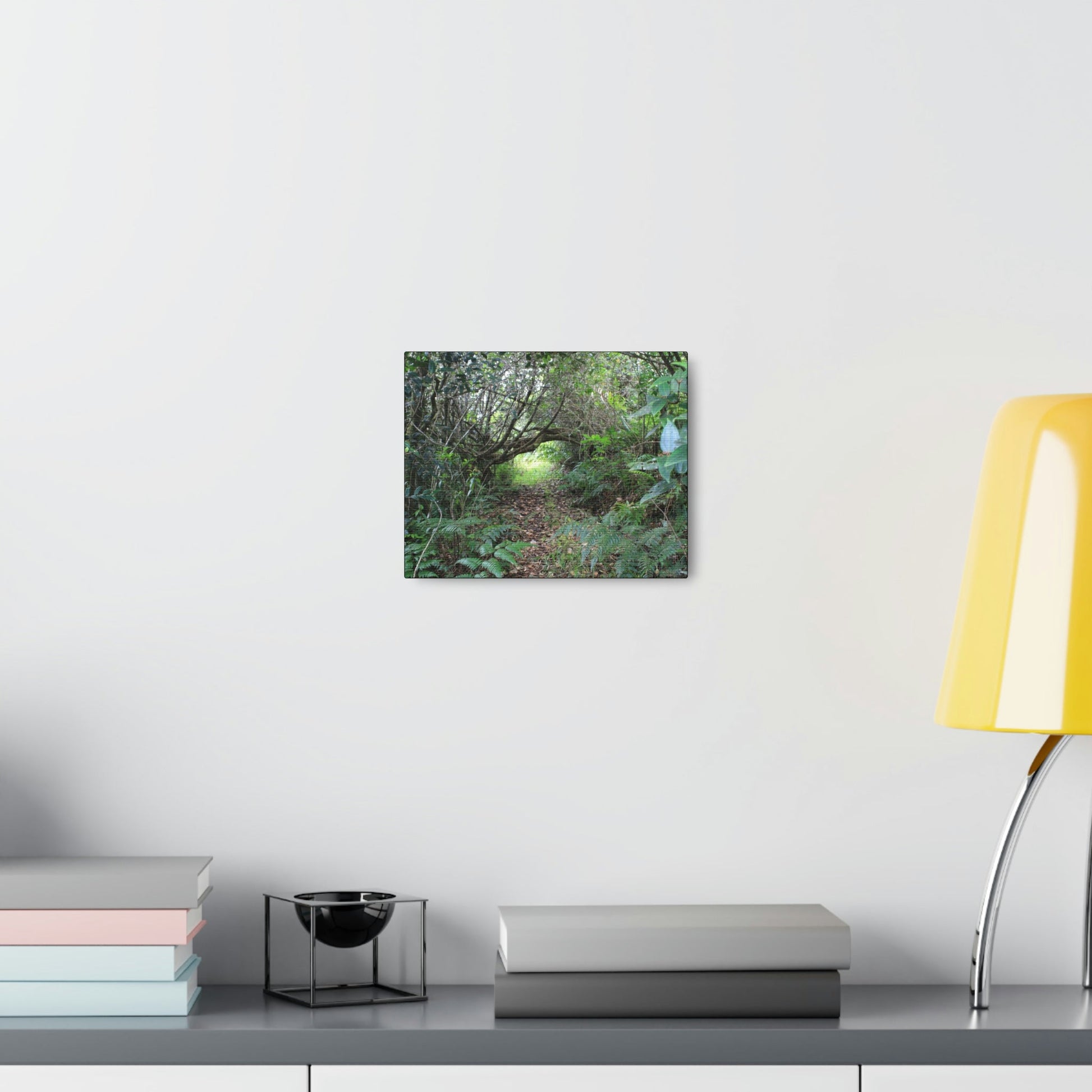 Canvas Gallery Wraps - The Tradewinds trail before Hurricane Maria - 2013 - old pal region - Green Forest Home