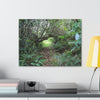Canvas Gallery Wraps - The Tradewinds trail before Hurricane Maria - 2013 - old pal region - Green Forest Home