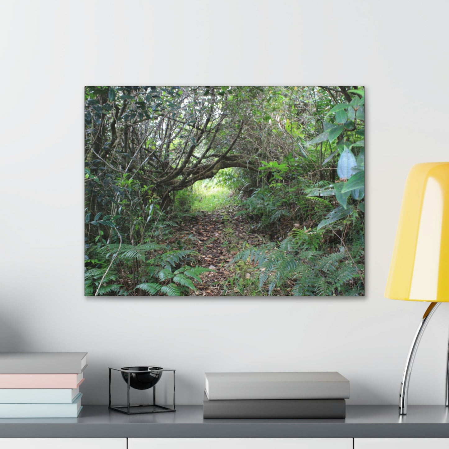 Canvas Gallery Wraps - The Tradewinds trail before Hurricane Maria - 2013 - old pal region - Green Forest Home