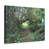 Canvas Gallery Wraps - The Tradewinds trail before Hurricane Maria - 2013 - old pal region - Green Forest Home