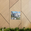 Canvas Gallery Wraps - The US National Parks - Yosemite, Kings Canyon and Sequoia parks - Section of John Muir Trail 210 miles - California - USA NPS - Green Forest Home