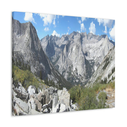 Canvas Gallery Wraps - The US National Parks - Yosemite, Kings Canyon and Sequoia parks - Section of John Muir Trail 210 miles - California - USA NPS - Green Forest Home