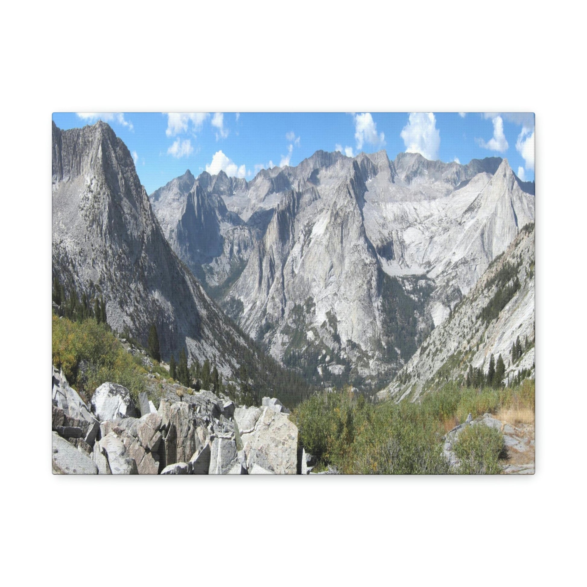 Canvas Gallery Wraps - The US National Parks - Yosemite, Kings Canyon and Sequoia parks - Section of John Muir Trail 210 miles - California - USA NPS - Green Forest Home