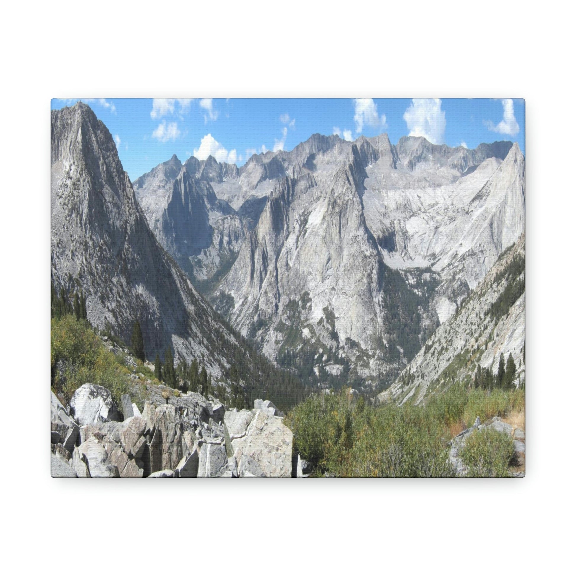 Canvas Gallery Wraps - The US National Parks - Yosemite, Kings Canyon and Sequoia parks - Section of John Muir Trail 210 miles - California - USA NPS - Green Forest Home