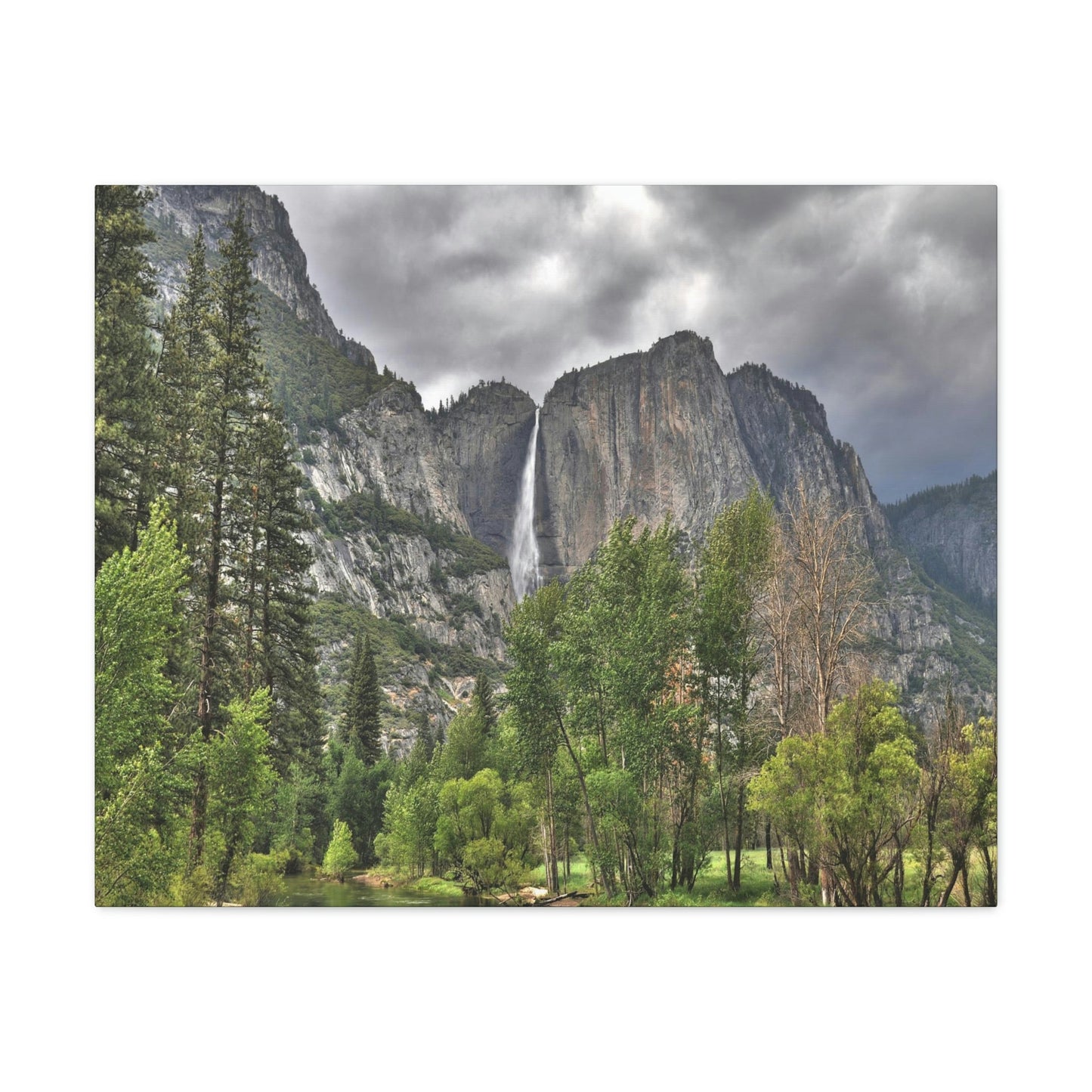 Canvas Gallery Wraps - The US National Parks - Yosemite Park - California - USA NPS - Green Forest Home
