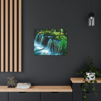 Canvas Gallery Wraps - The US National Parks - Yosemite Park - California - USA NPS - Green Forest Home