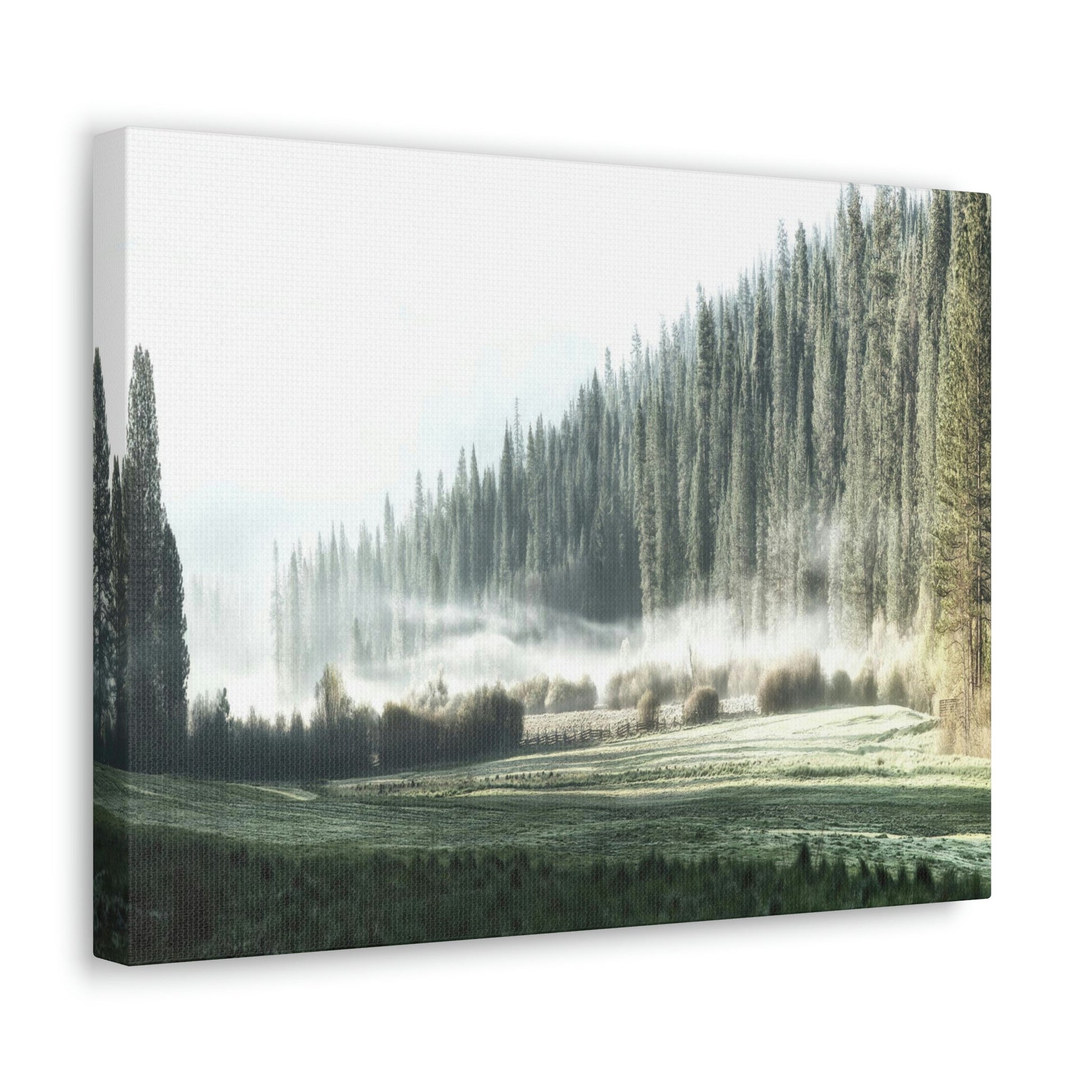 Canvas Gallery Wraps - The US National Parks - Yosemite Park - California - USA NPS - Green Forest Home